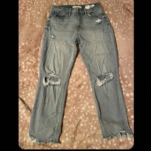 Eunina High Rise Straight Crop Mom Jeans